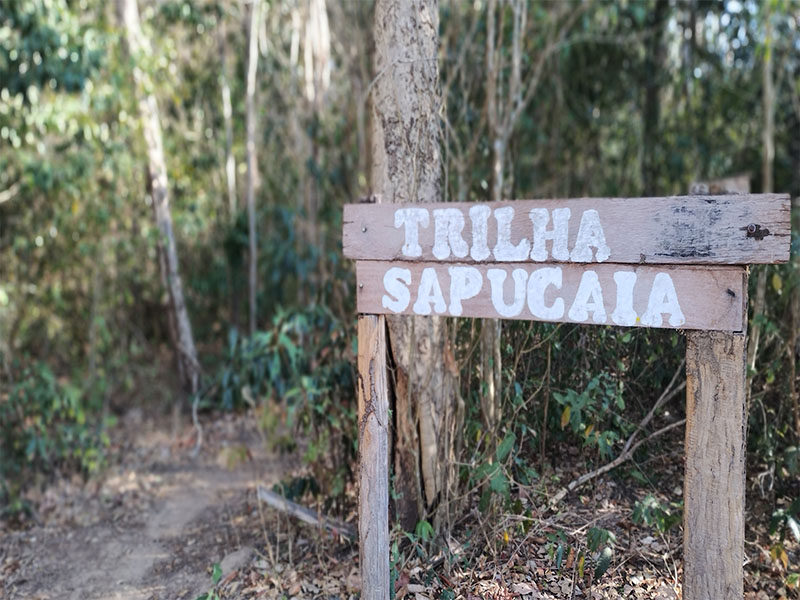TRILHA SAPUCAIA